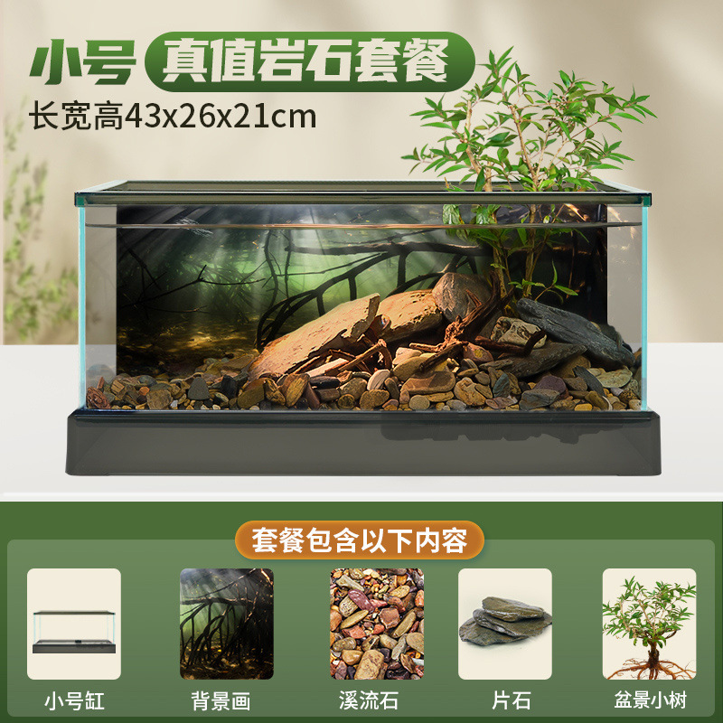 남미 소형 탱크 [실제 식물 조경 패키지] + 선물 패키지