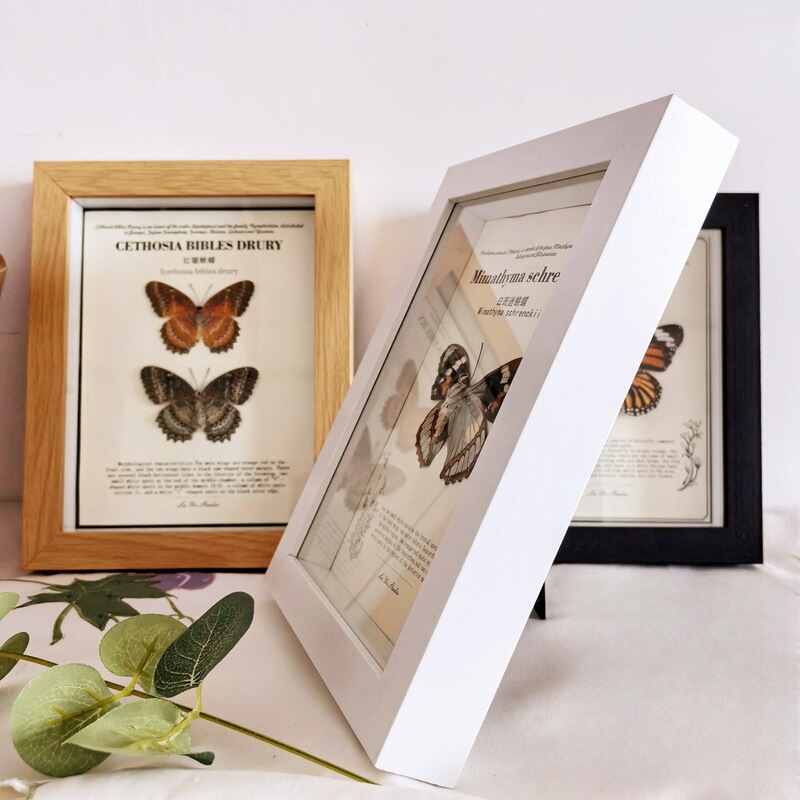 Wooden Glass Photo Frame Stereo Hollow 2cm Wall Hanging 10inch Butterfly Specimen Table Display Frame Ornament Square Wooden Glass Photo Frame Stereo Hollow 2cm Wall Hanging 10inch Butterfly Specimen Table Display Frame Ornament Square