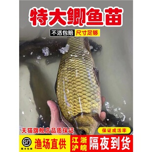 ��Ʒ�N�S���a�~���п���̖���̙C���~���~��������a��ˮ�Bֳ���w