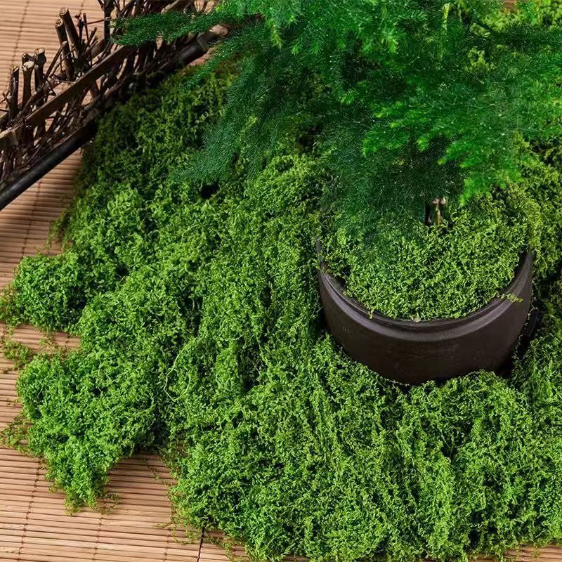 Woolen moss dark color 1kg