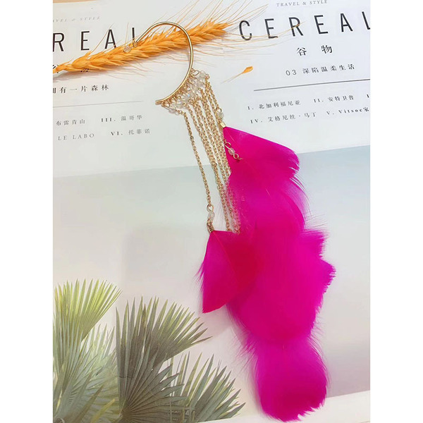 Elegant ear clips