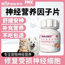 皇族宠物神经营养因子片安心养神猫狗营养神经滋养强体质胆小通用
