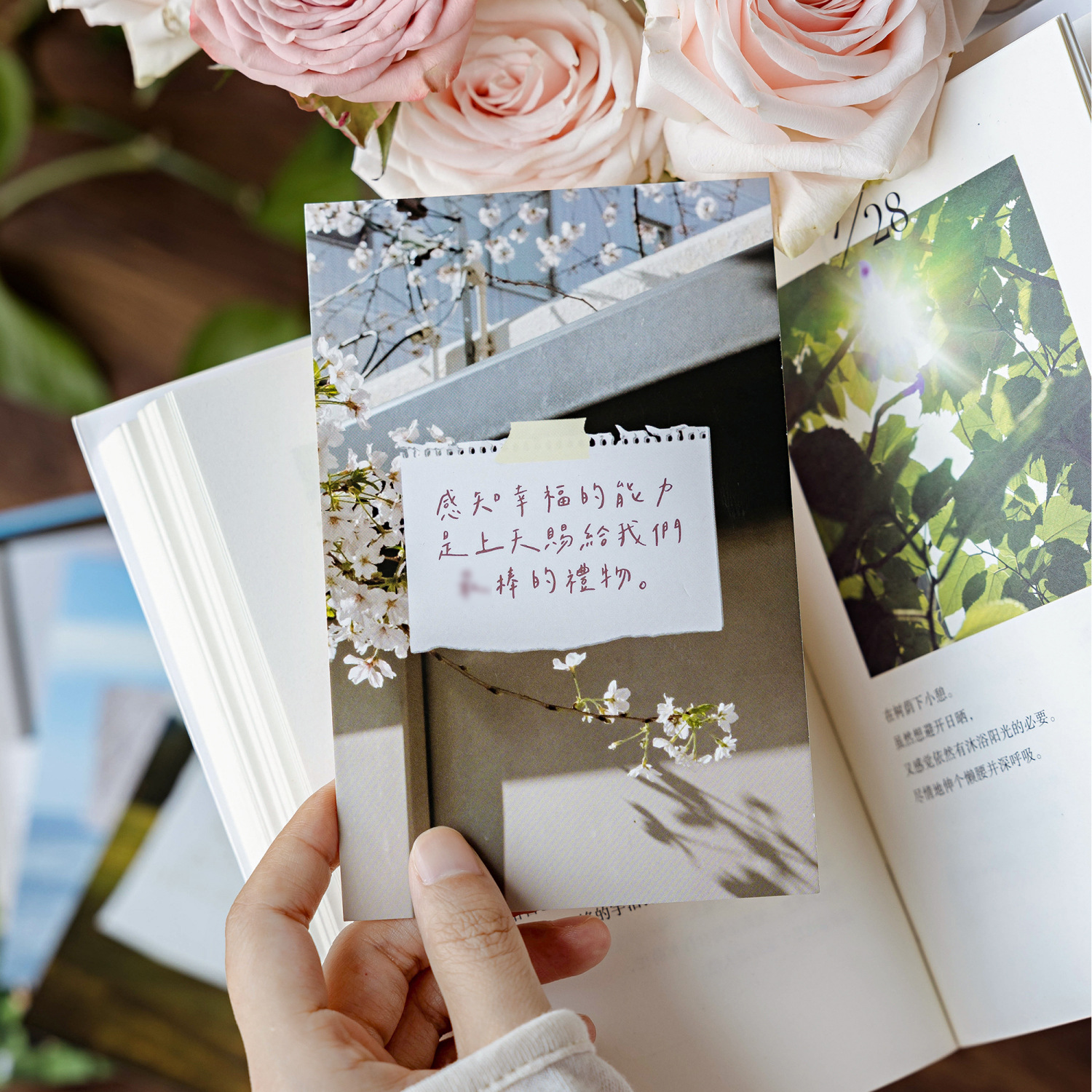 Las postales en caja de Mo Mo comienzan a sentir la felicidad y el paisaje fresco de los días normales, tarjetas de decoración de mensajes