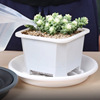 Flower pot tray plastic circular chassis pads bottom of the flower plate base potted flower base thickened bottom bracket pad to connect water plate