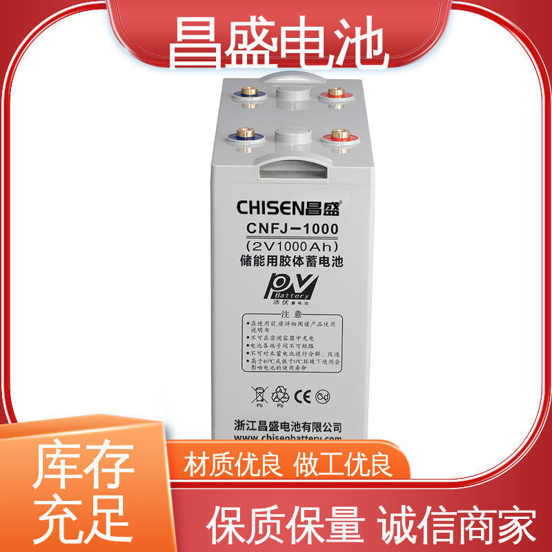 昌盛 CNFJ-1000 储能电源套件 2V电源 质优价廉