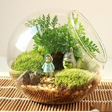 ΢����б�ڲ�����ƿ ̦޺ ����DIY��̬ƿ ˮ�������Ҿ���Ʒ����