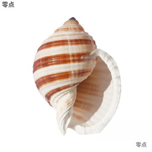 ������Ȼؐ�����ݶ��⻨��[�����߾�ؐ�~�ľ�з��ֳ���~���쾰