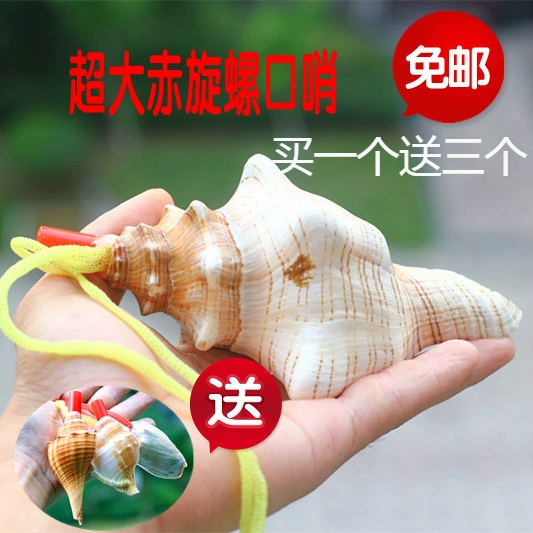 Free shipping for natural shell crafts red spiral whistle snails, island street stalls, children's gifts, Ma Xiao
