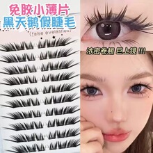 ���º����Z���ִ��������܋냺����ϵ�ٽ�ë�ֶ�ʽ�δ���Ȼ���N��