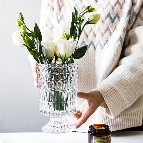 Tall small vase ins style glass vase flower arrangement water for living room hydroponic flowers dried flowers internet celebrity Nordic vase
