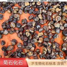 �����ʯ ��Ȼ�ݻ�ʯԭʯ ������˱������ͶY�ղ��bYƷ���l