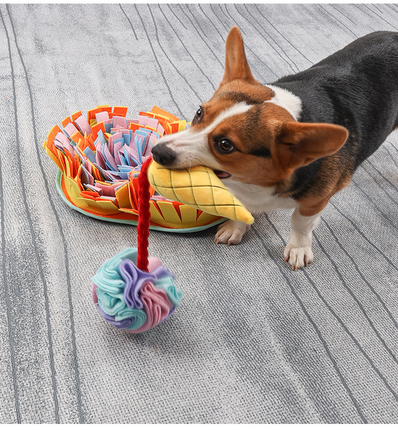 Interaktive Duftmatte für Hunde – Spielzeug, Futteraufbewahrung, pädagogisches Training, Stressabbau, Spiel_voghion.com