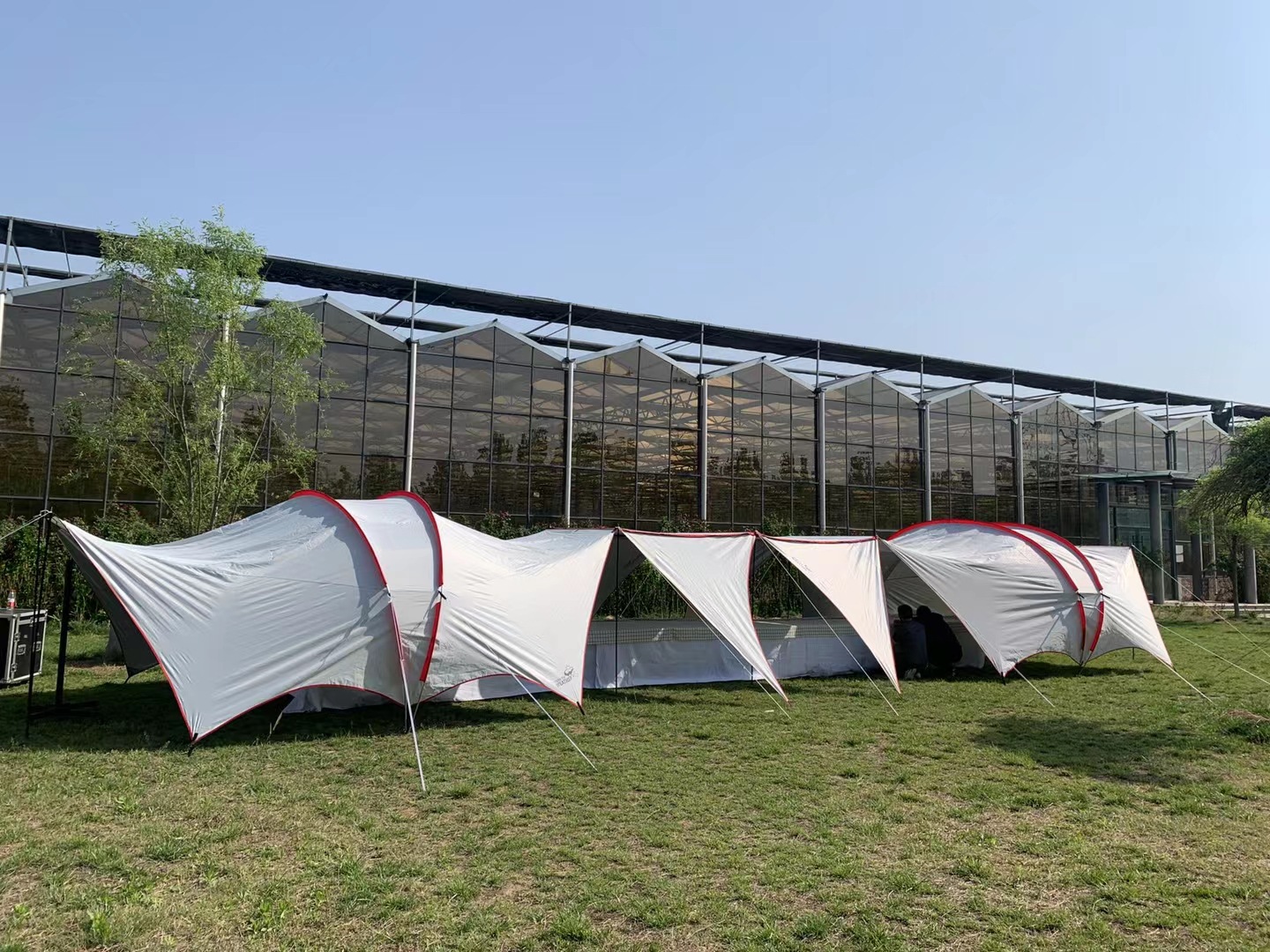 双杆哈比白加围