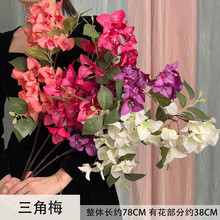 ����÷���滨��Y�õ�픆�֧����÷�ٻ��Ҿӿ͏d�廨�b���÷��