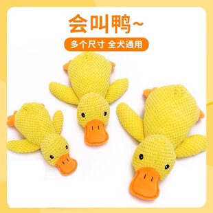 ������߰l���˽␞ë�q��ż�S��С����ĥ����ҧ������Ʒ