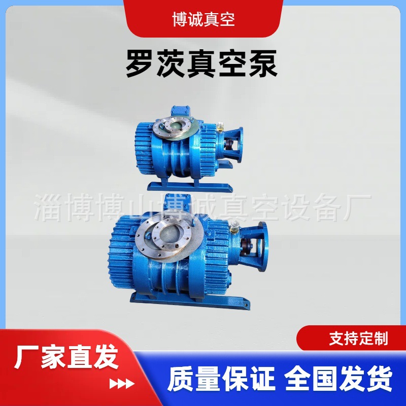 淄博ZJP600罗茨水环真空机组、2BV5131真空泵