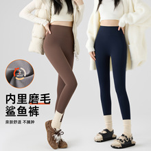 哑光鲨鱼裤女外穿秋冬季加绒显瘦2025新款高腰收腹磨毛瑜伽打底裤