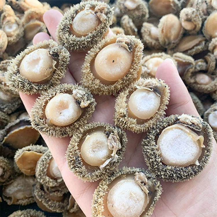 Оптовый товар Yide Lu Haiwei, дегустационная корейская устрица африканская abalone, вкусная легкая сухая сахарная сердце абалонеи беременным женщинам готовиться к беременности рагу суп питательное