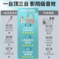 Gold Fortune C10 Microphone Speaker Wireless Bluetooth All-in-One Karaoke Machine for Home Children Family