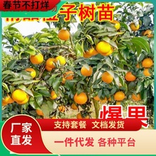 һ�����l�M�ϳ��Ә������Ԃ���Ě�ȹ���޽�ɰ���ٹ��箔��Y����