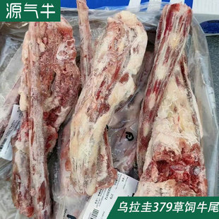 ������379���ţβ���r����ԭ�����ß������ȥƤţβ���������l