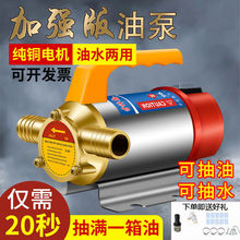 油水兩用電動抽油泵12V24V220V伏直流高壓水泵柴油泵加油機抽油器
