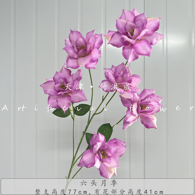 6개의 머리 장미-보라색