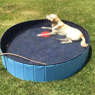 Pet Dog Bath Tub Foldableable Large Dog Golden Retriever Swimming Pool Bath Tub Cat Bath Tub Baby Bath Tub