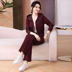休闲运动套装女士春秋2025新款爆款时尚洋气小个子开衫卫衣两件套