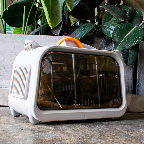 Cat backpack, cat bag, portable space capsule cat bag, spring outing pet outing bag, large-capacity portable flight case