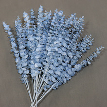 ĵ�������滨��c�廨�ý����Y�b�õ�廨ˇ����ֻ�b·��10�{ɫ