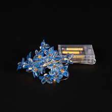 Amazon���u�f�}�Ϲ������~������LED�㾀��ʯ���͟��ʟ��Շ���