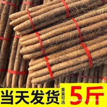 河南焦作温县垆土铁棍山药新鲜粉糯怀淮山生铁杆包邮甘甜当季