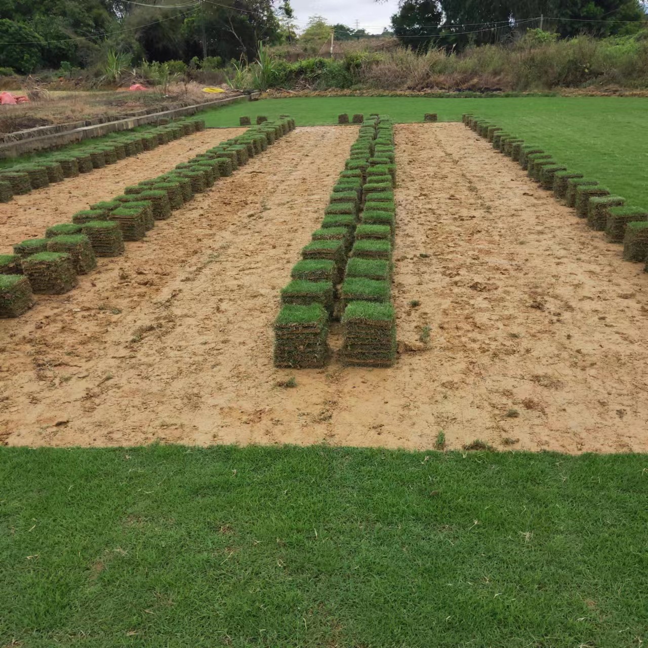 6bead228b8c294a34a6d397af8204d