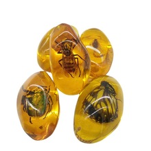 琥珀虫珀 琥珀虫珀品牌 图片 价格 琥珀虫珀批发 阿里巴巴 琥珀虫珀 琥珀虫珀品牌 图片 价格 琥珀虫珀批发 阿里巴巴