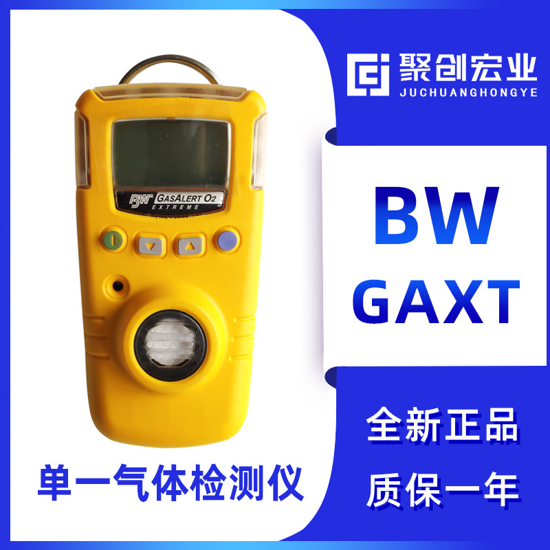 加拿大BW GAXT 单一气体检测仪 硫化氢气体检测仪