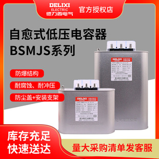Delixi self-healing low-voltage shunt power capacitor BSMJS0.45 20-3 30-3 reactive power compensation