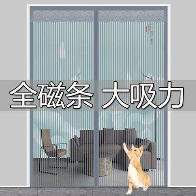 Magnetic Stripe Mosquito control door curtain summer household new pattern Magnetic Stripe autohesion Shamen Mosquito net Punch holes
