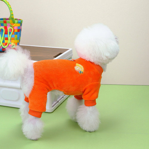 Pet Dog Clothes  Autumn New Pet Homecoming Clothes Plush Small and Medium Size Dog Pomelo Fruit Four-Legged Fur Clothing