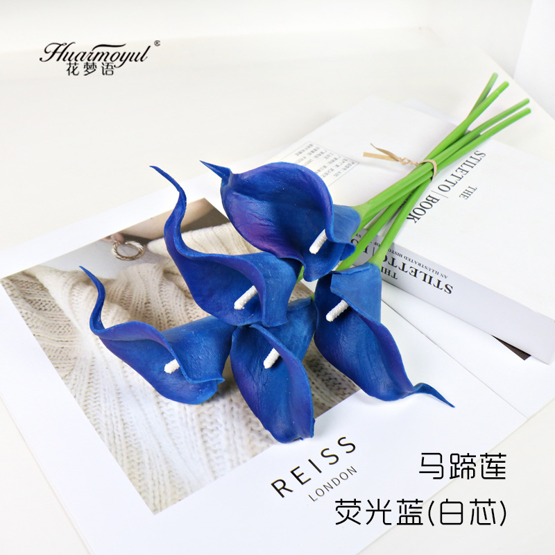 칼라 릴리-형광 블루(화이트 코어)