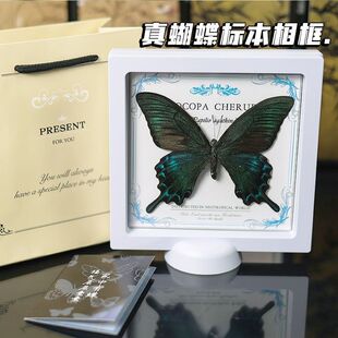 ��G���������˱�����Ʒչ�����x���F��Ҋ�{ɫ���նY��Ů�DŮ��