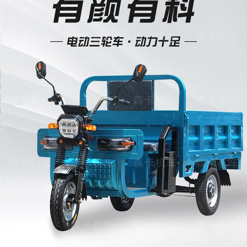 Cargo Load King Three-wheeled Electric Battery Car Household Large Agricultural Tricycle Stall Express Tricycle Customization