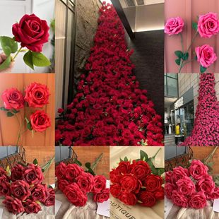 õ���ٲ� õ�廨�tɫ���tõ�t����b�޼Ҿӿ羳��c�������滨