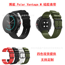 ڲ Polar Vantage M 轺 Vantage M͸轺