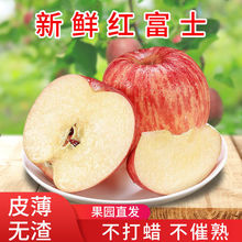 陝西冰糖心脆甜紅富士高原蘋果應季新鮮水果原產地特產孕婦水果