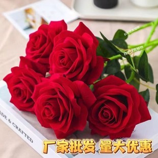 õ�廨���滨���˹����ϼٻ����ҾӔ[���͏d�廨�ɻ��[�O�b�