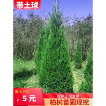 򡿰ؘ؂Ȱرɰؘuɰľ