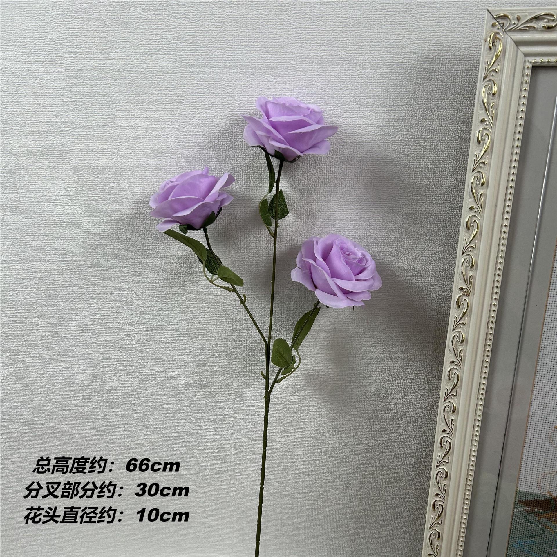 XH3 불가리안 로즈
