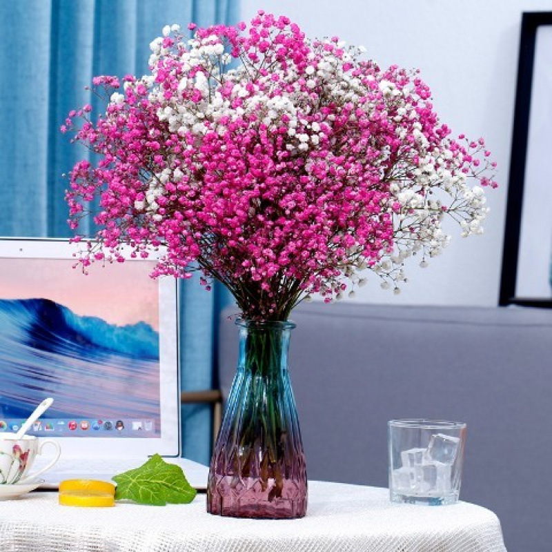 화이트 + 로즈 레드 안개꽃 - 꽃병 없음