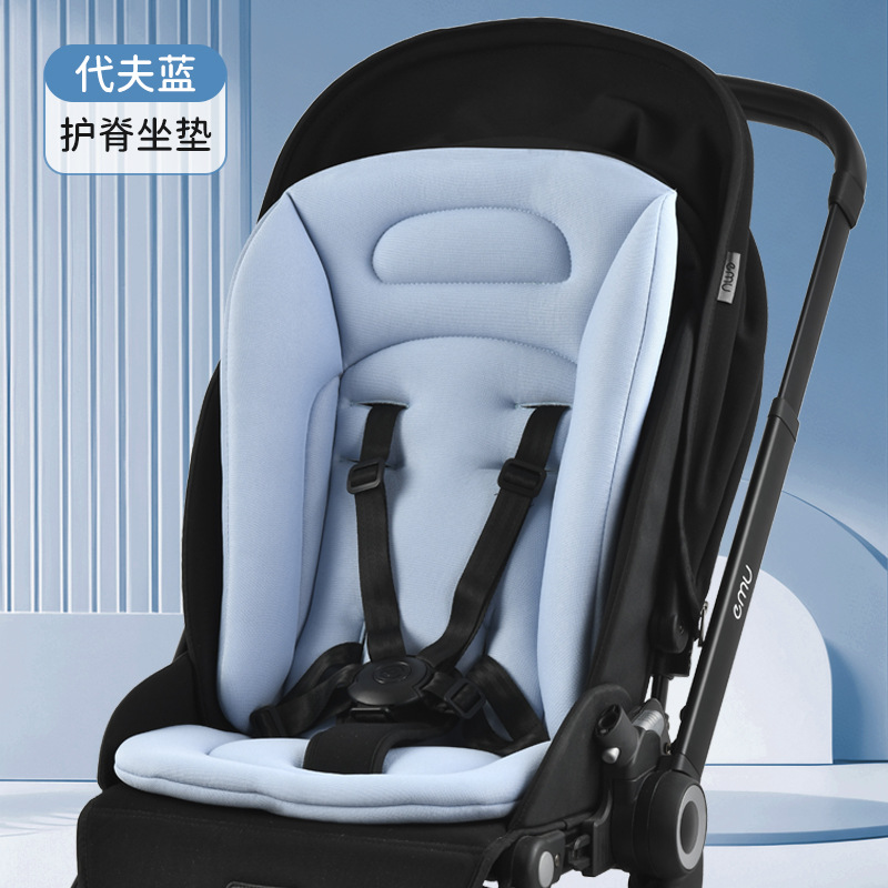 척추 보호 모델︱양면 사용 가능︱닥터 블루